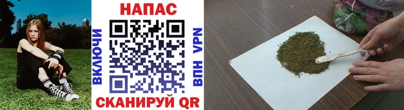 Бошки Шишки планчик  Купить  Тара 